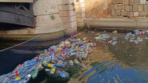 imagen de algunos residuos recogidos en el puerto antiguo de Ciutadella.