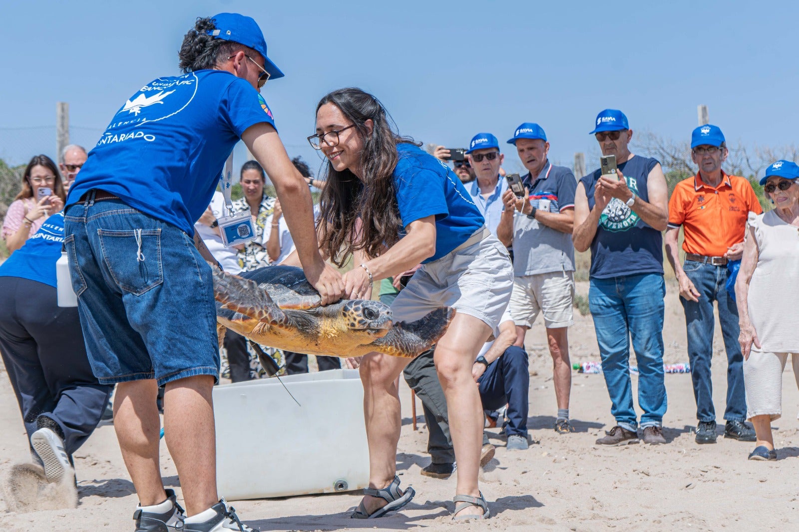 La Fundación Oceanogràfic advierte de la importancia de llamar al 112 en el caso de localizar una tortuga herida La Fundación Oceanogràfic advierte de la importancia de llamar al 112 en el caso de localizar una tortuga herida