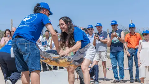 Durante la presentación de la campaña se ha devuelto una tortuga al mar tras su recuperación. Durante la presentación de la campaña se ha devuelto una tortuga al mar tras su recuperación.