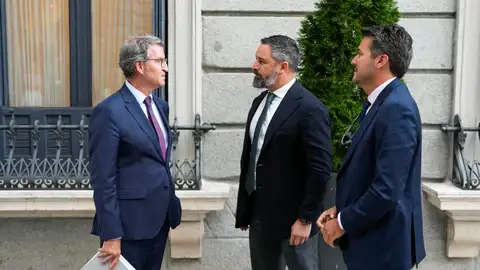 Imagen de archivo del presidente del PP, Alberto Núñez Feijóo, y el presidente de Vox, Santiago Abascal. Imagen de archivo del presidente del PP, Alberto Núñez Feijóo, y el presidente de Vox, Santiago Abascal.