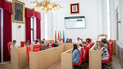 El Ayuntamiento de Mérida aprueba con el apoyo de todos los grupos excepto Vox, una declaración por el Día del Orgullo El Ayuntamiento de Mérida aprueba con el apoyo de todos los grupos excepto Vox, una declaración por el Día del Orgullo