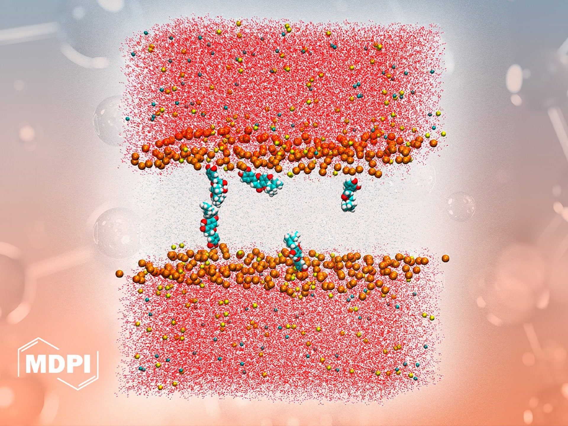 Una investigación de la UMH de Elche describe cómo se comporta uno de los principales compuestos bioactivos del propóleo Una investigación de la UMH de Elche describe cómo se comporta uno de los principales compuestos bioactivos del propóleo