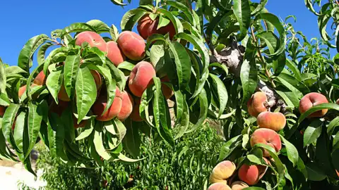 Los sindicatos en Huesca piden medidas de cara a la primera ola de calor Los sindicatos en Huesca piden medidas de cara a la primera ola de calor