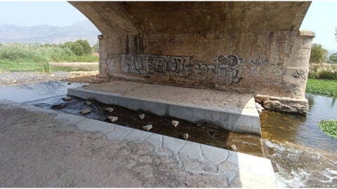 Altea ejecuta la rampa para peces del proyecto de Restauraci&oacute;n Ecol&oacute;gica y Mejora de la Capacidad de Laminaci&oacute;n del R&iacute;o Algar