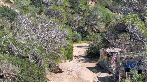 Torrent de ses Alfàbies que desemboca a Cala d’Hort Torrent de ses Alfàbies que desemboca a Cala d’Hort