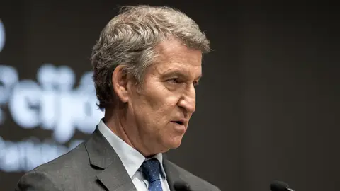 Alberto Núñez Feijóo, líder de la oposición, en un acto el pasado mes de junio Alberto Núñez Feijóo, líder de la oposición, en un acto el pasado mes de junio