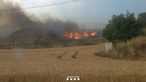 El propietari d'una explotació agrícola i un treballador, les víctimes mortals en l'incendi de Torrefeta i Florejacs que afecta 6500 hectàrees El propietari d'una explotació agrícola i un treballador, les víctimes mortals en l'incendi de Torrefeta i Florejacs que afecta 6500 hectàrees