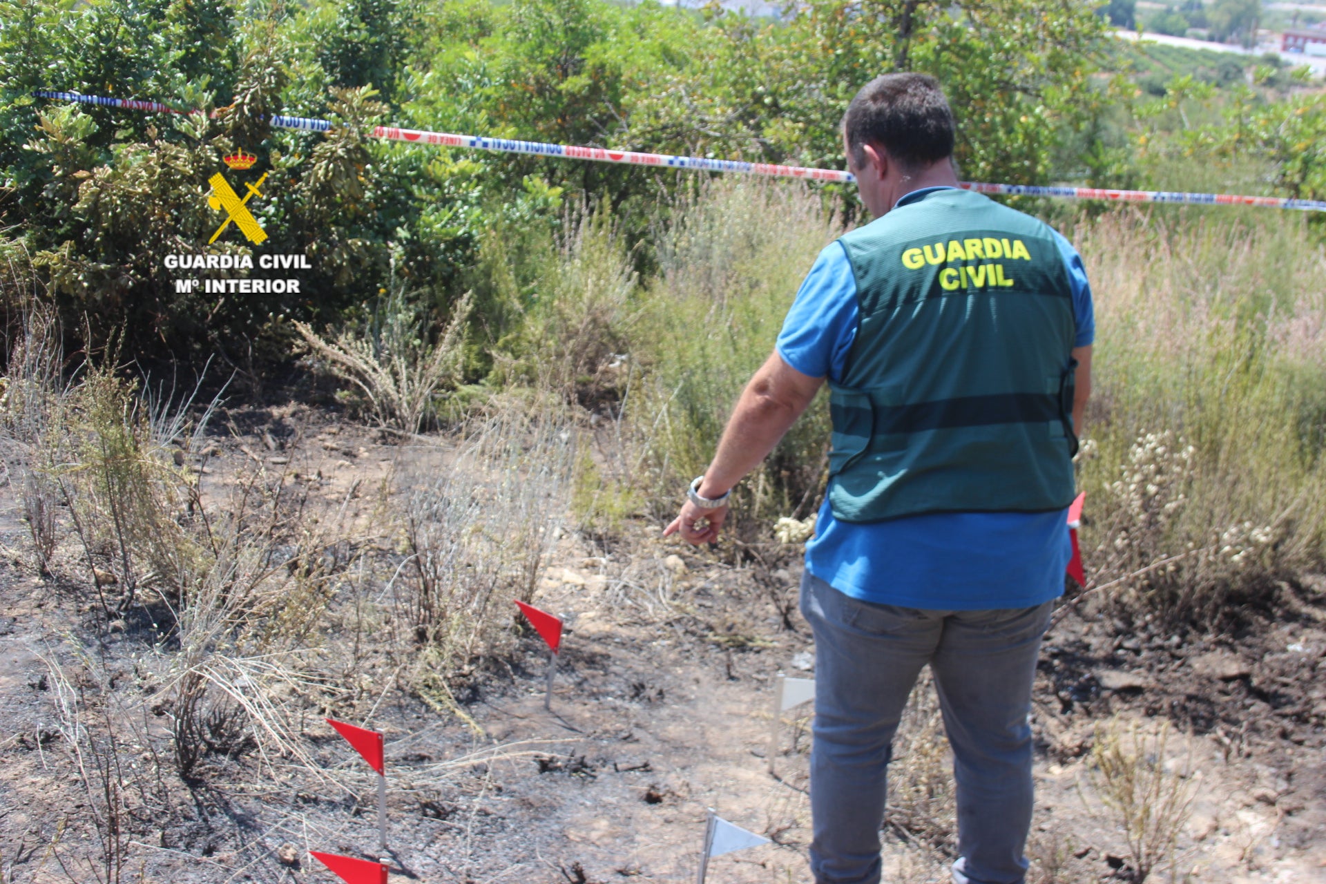 Detenida una mujer por provocar un incendio forestal en Torreblanca (Castellón) Detenida una mujer por provocar un incendio forestal en Torreblanca (Castellón)