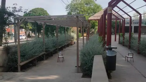 Patio de un colegio público renaturalizado Centro educativo de Alicante con nuevos árboles y plantas