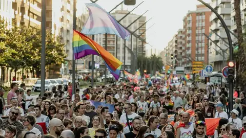 Detenido el presunto autor de uno de las agresiones en la celebración del Orgullo LGTBIQ+ en La Rioja Detenido el presunto autor de uno de las agresiones en la celebración del Orgullo LGTBIQ+ en La Rioja