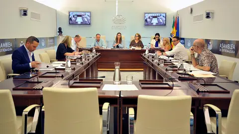 PP y Vox aprovechan el auto del TSJEx sobre el aforamiento de Gallardo para pedirle que deje su escaño en la Asamblea PP y Vox aprovechan el auto del TSJEx sobre el aforamiento de Gallardo para pedirle que deje su escaño en la Asamblea