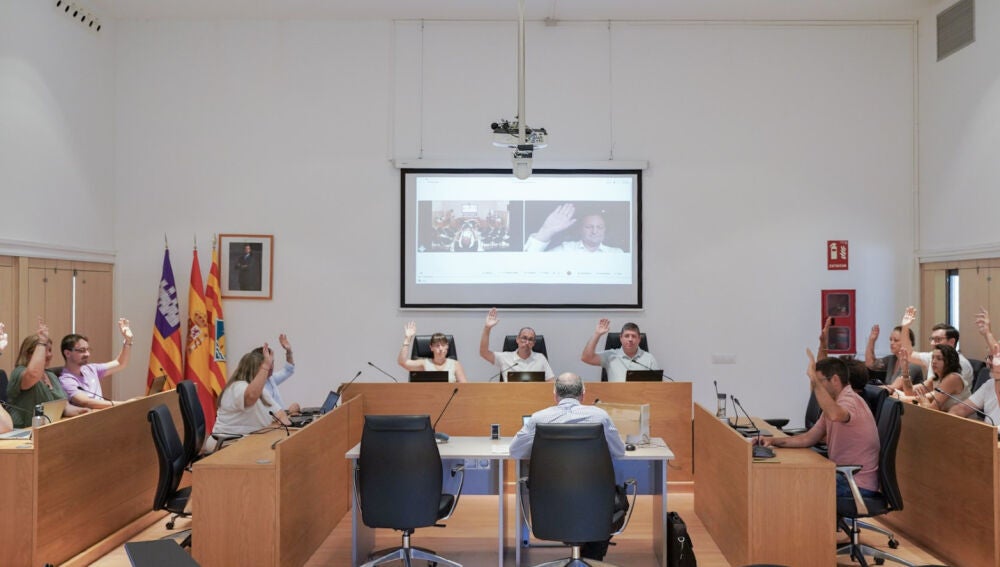 Imagen del pleno extraordinario celebrado para aprobar las menciones y galardones de este año