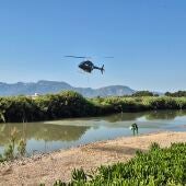 Tratamiento de la mosca negra en el cauce del rio Xúquer