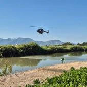 Tratamiento de la mosca negra en el cauce del rio Xúquer Tratamiento de la mosca negra en el cauce del rio Xúquer