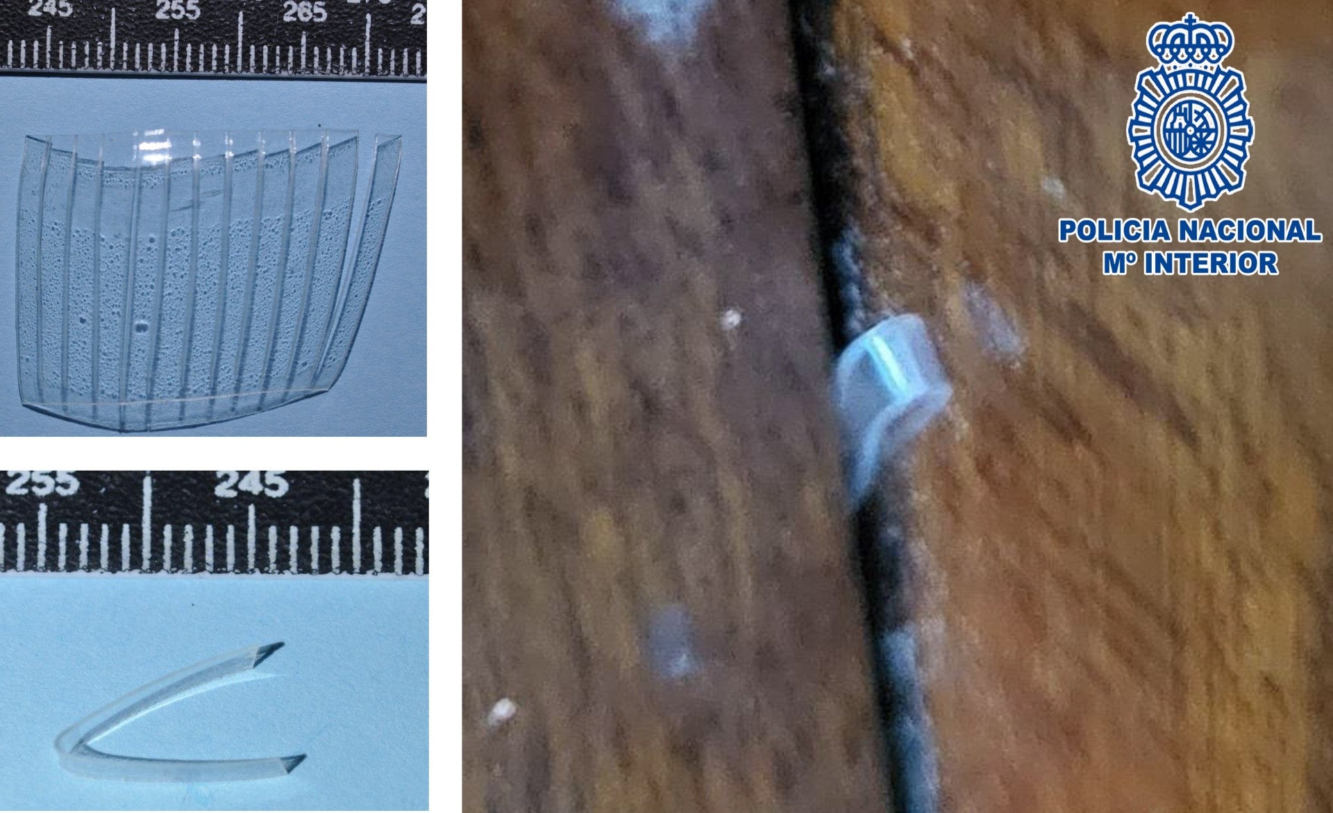 Detenida en Huesca una banda por robar en domicilios Detenida en Huesca una banda por robar en domicilios