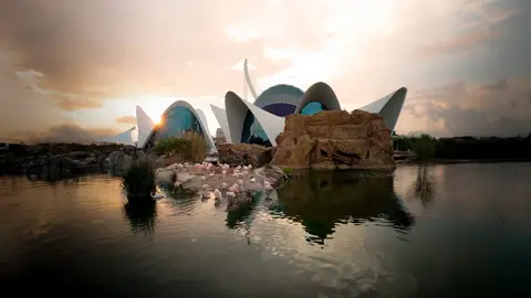 Oceanogràfic Oceanogràfic