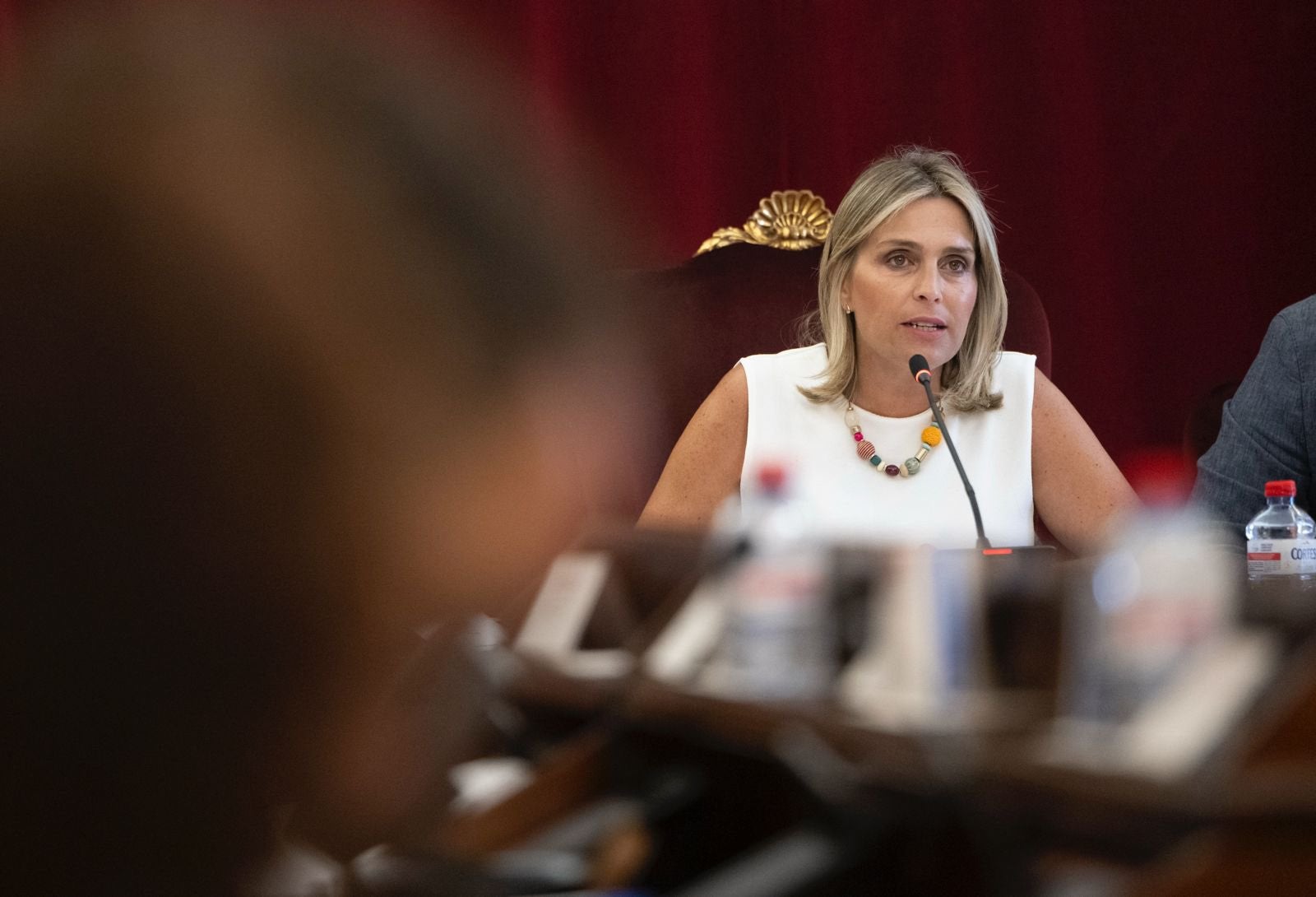 Activada una línea de ayudas para apoyar a los ayuntamientos en la asistencia técnica y legal de la protección y defensa del territorio Activada una línea de ayudas para apoyar a los ayuntamientos en la asistencia técnica y legal de la protección y defensa del territorio