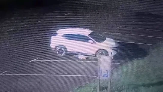 Resuelto el misterio del sabotaje a los coches de Cabárceno: fue un animal salvaje Resuelto el misterio del sabotaje a los coches de Cabárceno: fue un animal salvaje