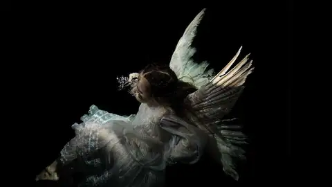 Goya Renacido en el agua Goya Renacido en el agua