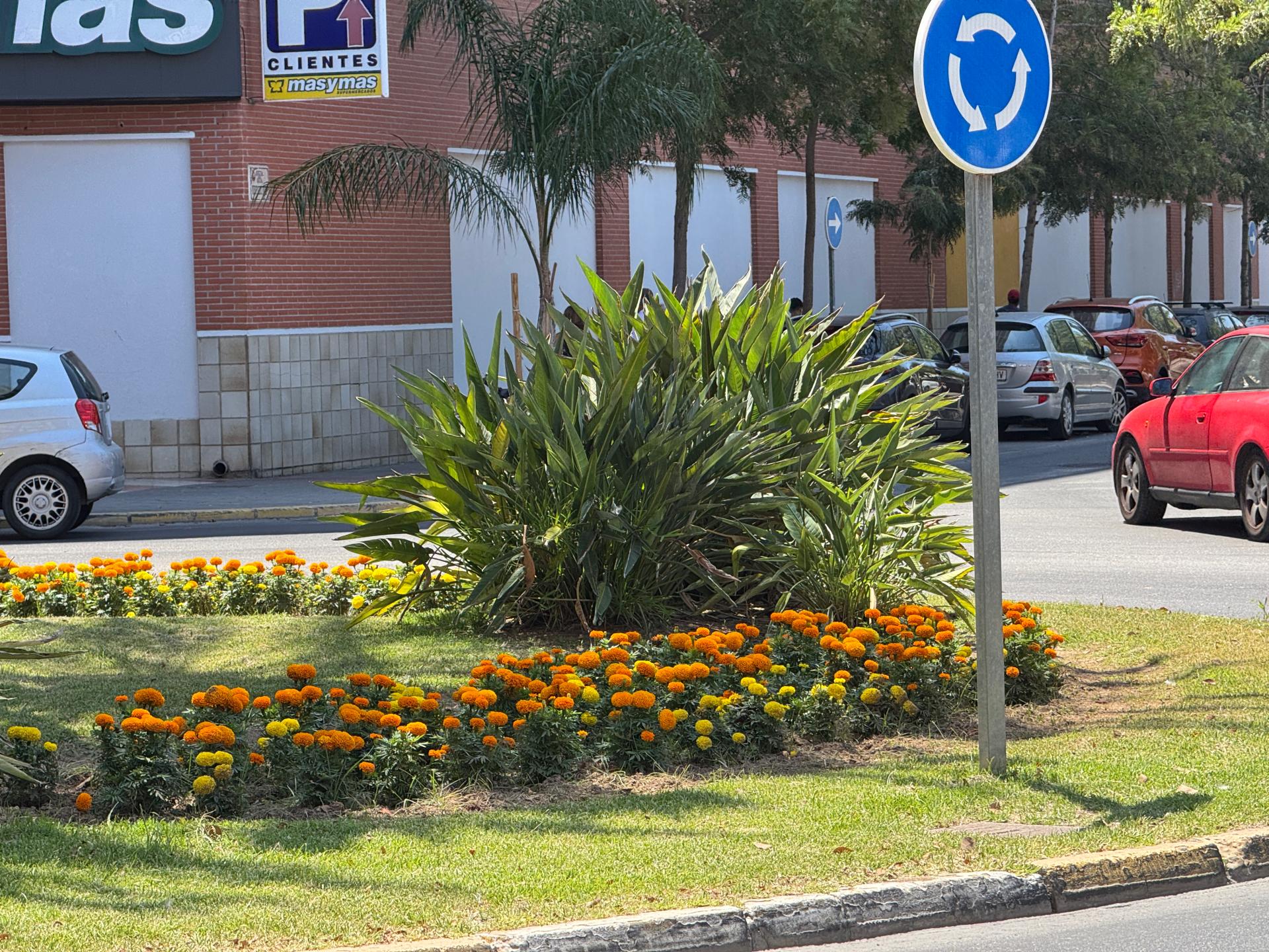 Santa Pola externalizará el mantenimiento de espacios públicos ante la imposibilidad de asumirlo con personal propio Santa Pola externalizará el mantenimiento de espacios públicos ante la imposibilidad de asumirlo con personal propio