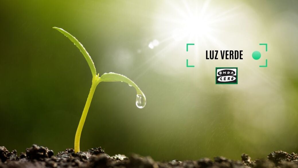 luz verde euskadi