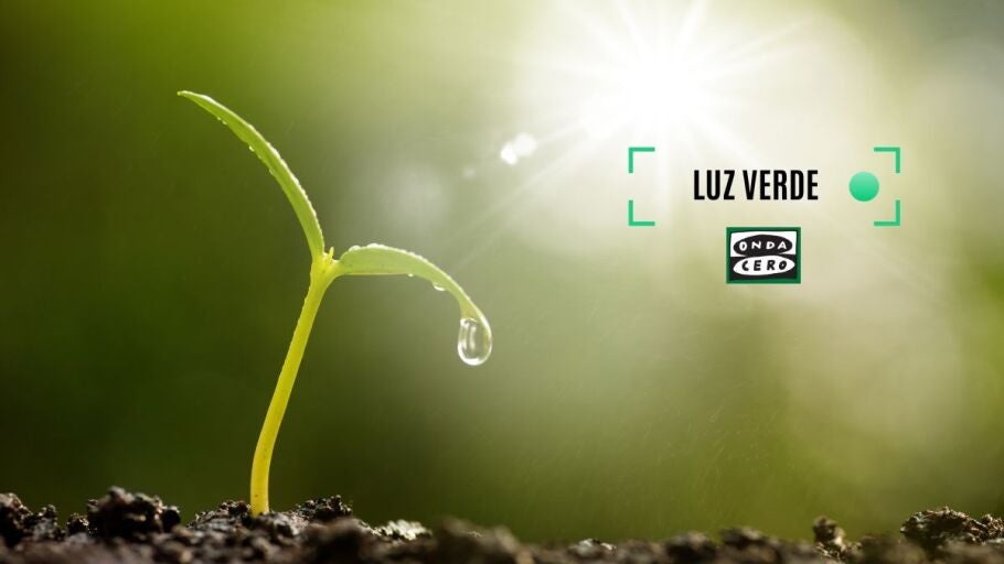 luz verde euskadi