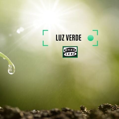 luz verde euskadi