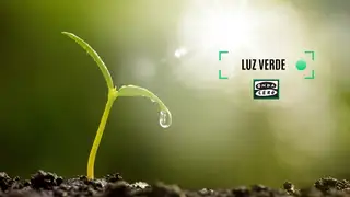 luz verde euskadi luz verde euskadi