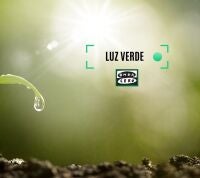 luz verde euskadi
