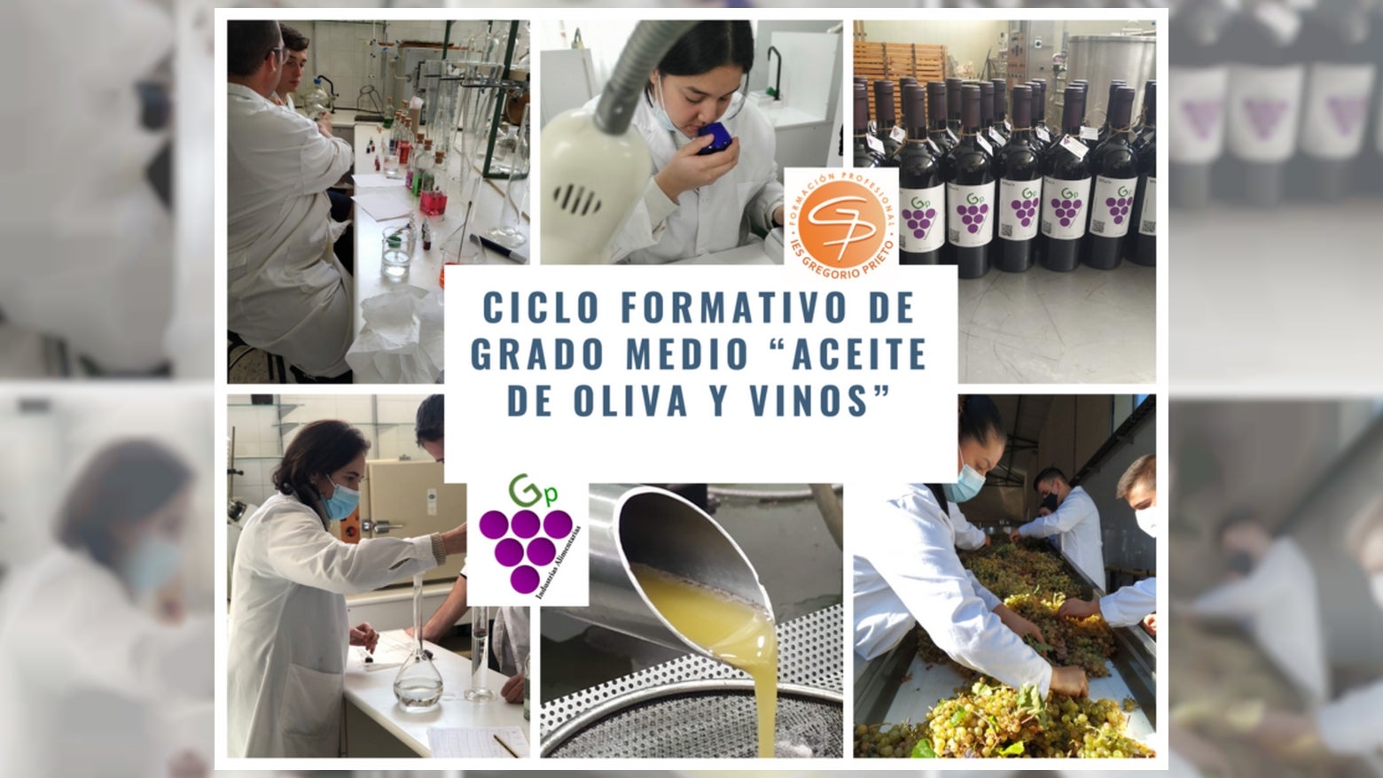 El I.E.S Gregorio Prieto elabora vinos con las edades de la mujer El I.E.S Gregorio Prieto elabora vinos con las edades de la mujer