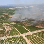 Incendio declarado en la partida del Clor del Negre, Antella Incendio declarado en la partida del Clor del Negre, Antella