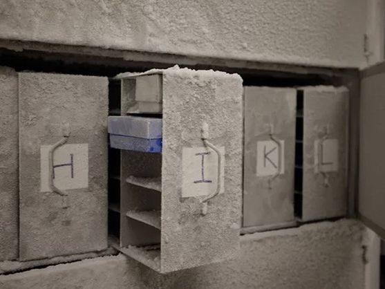 Nueva bóveda del fin del mundo para preservar el microbioma humano Nueva bóveda del fin del mundo para preservar el microbioma humano