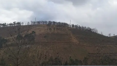 Herido grave un trabajador al volcar su maquinaria en una ladera de La Candanosa. Herido grave un trabajador al volcar su maquinaria en una ladera de La Candanosa.