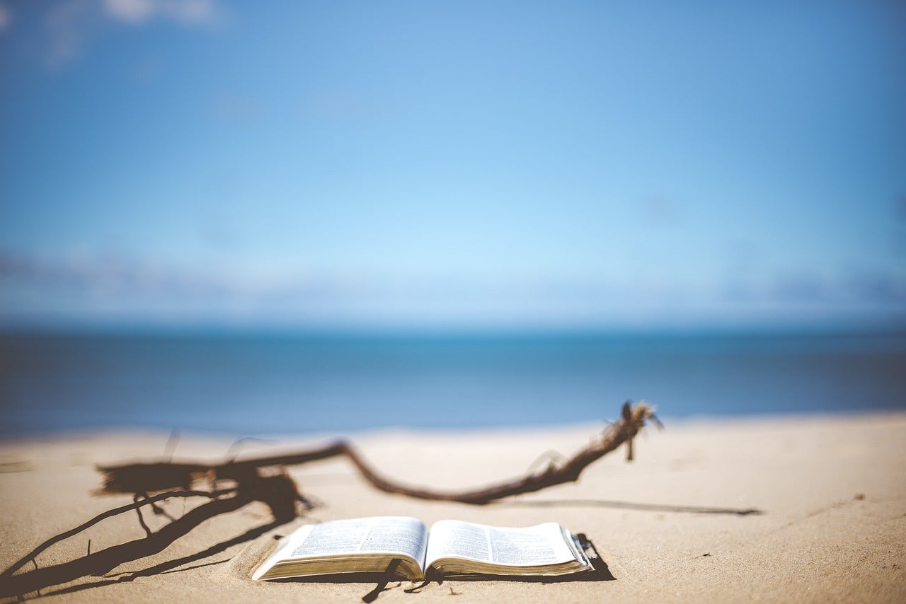 Lectures d'estiu Lectures d'estiu