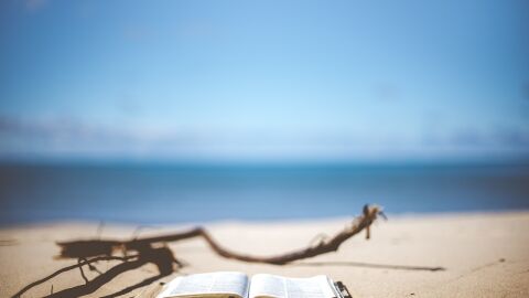 Lectures d'estiu