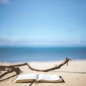 Lectures d'estiu Lectures d'estiu