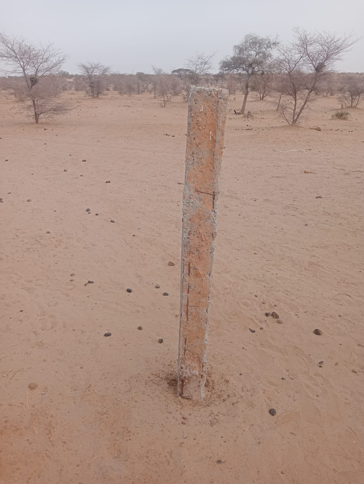 La Fundación MIMS organiza una cena benéfica en apoyo a su proyecto de cooperacion internacional en Mauritania La Fundación MIMS organiza una cena benéfica en apoyo a su proyecto de cooperacion internacional en Mauritania