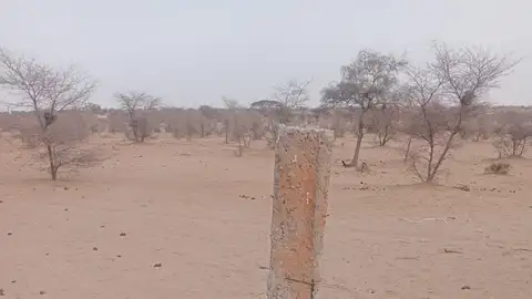 Terreno en l'Uliah donde desarrolla su proyecto la Fundación MIMS Terreno en l'Uliah donde desarrolla su proyecto la Fundación MIMS