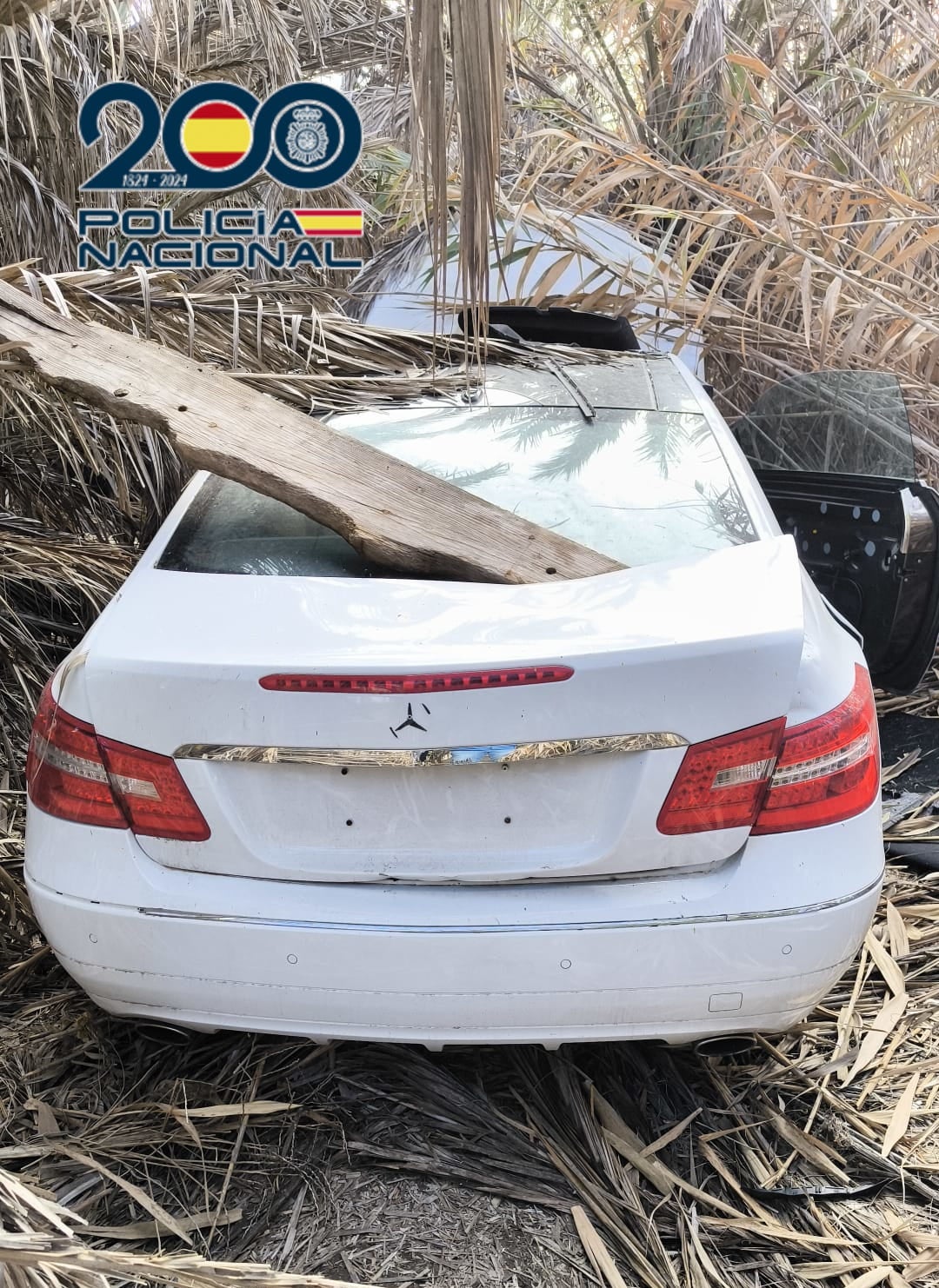 Detenidos en Elche y Orihuela dos hombres por intentar robar a un comercial 30.000 euros en metálico Detenidos en Elche y Orihuela dos hombres por intentar robar a un comercial 30.000 euros en metálico