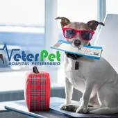 Cómo viajar en verano con nuestro perro es uno de los temas que abordamos hoy en 'Tu mascota en la Onda' con Ángel Osuna Cómo viajar en verano con nuestro perro es uno de los temas que abordamos hoy en 'Tu mascota en la Onda' con Ángel Osuna