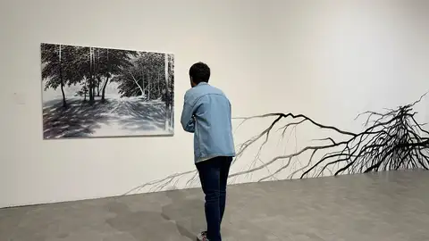 Exposición 'Echar raíces' de Sylvia Pennings en el IAACC Pablo Serrano de Zaragoza Exposición 'Echar raíces' de Sylvia Pennings en el IAACC Pablo Serrano de Zaragoza