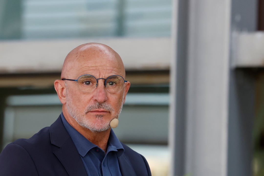 De la Fuente: "¿Gonzalo? Hay que hacer algo de mili" De la Fuente: "¿Gonzalo? Hay que hacer algo de mili"