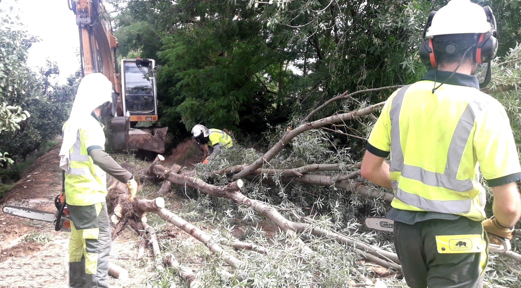 Teruel pide limpiar los cauces más afectados por riadas Teruel pide limpiar los cauces más afectados por riadas