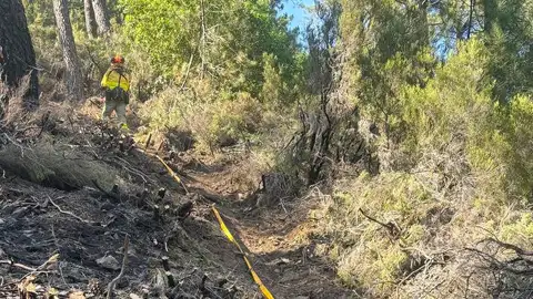 Estabilizados incendios forestales en Torrequemada y Medina de las Torres, el INFOEX interviene en un incendio en Portugal Estabilizados incendios forestales en Torrequemada y Medina de las Torres, el INFOEX interviene en un incendio en Portugal