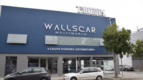 Wallscar Elche.