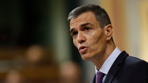El presidente del Gobierno, Pedro Sánchez interviene en el pleno del Congreso de los Diputados este miércoles. EFE/Mariscal