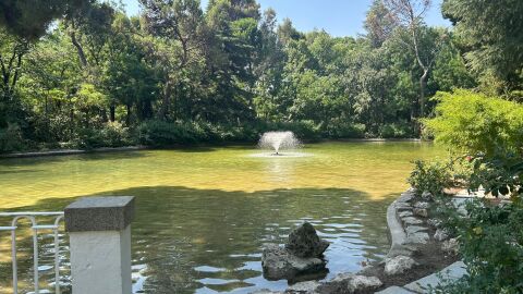 El Ayuntamiento de Madrid reintroduce sus especies en el estanque de la Quinta de los Molinos tras su vaciado y prev&eacute; repetirlo en el Retiro