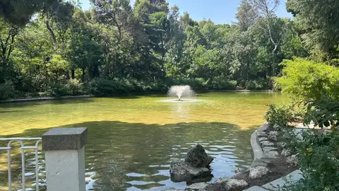 El Ayuntamiento de Madrid reintroduce sus especies en el estanque de la Quinta de los Molinos tras su vaciado y prevé repetirlo en el Retiro El Ayuntamiento de Madrid reintroduce sus especies en el estanque de la Quinta de los Molinos tras su vaciado y prevé repetirlo en el Retiro