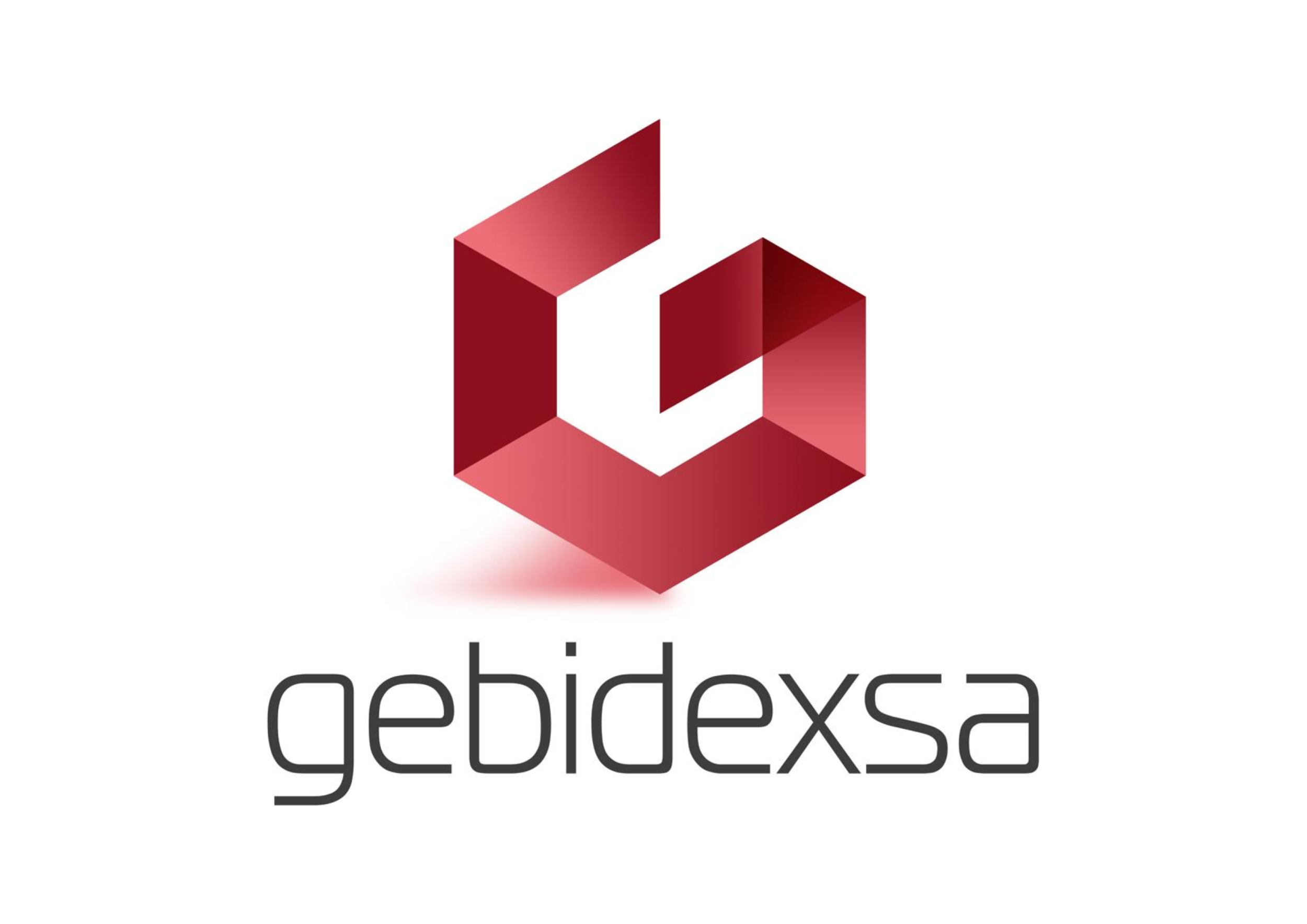 María José Ontiveros, nueva directora gerente de Gebidexsa María José Ontiveros, nueva directora gerente de Gebidexsa