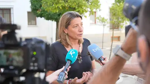 La presidenta de la Comisión de Investigación del Regadío Tierra de Barros y portavoz adjunta del Grupo Popular de la Asamblea de Extremadura, Pilar Gómez de Tejada - La presidenta de la Comisión de Investigación del Regadío Tierra de Barros y portavoz adjunta del Grupo Popular de la Asamblea de Extremadura, Pilar Gómez de Tejada -